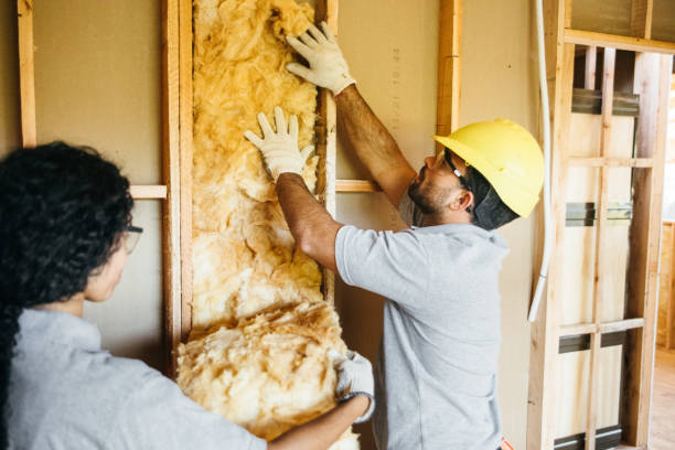 Best Basement Insulation  in Dunn, NC