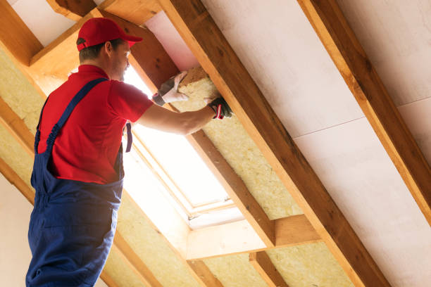 Best Insulation for Existing Homes  in Dunn, NC